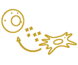 慢性炎症